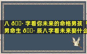 八 🕷 字看你未来的命格男孩「男命生 🌷 辰八字看未来娶什么样的老婆」